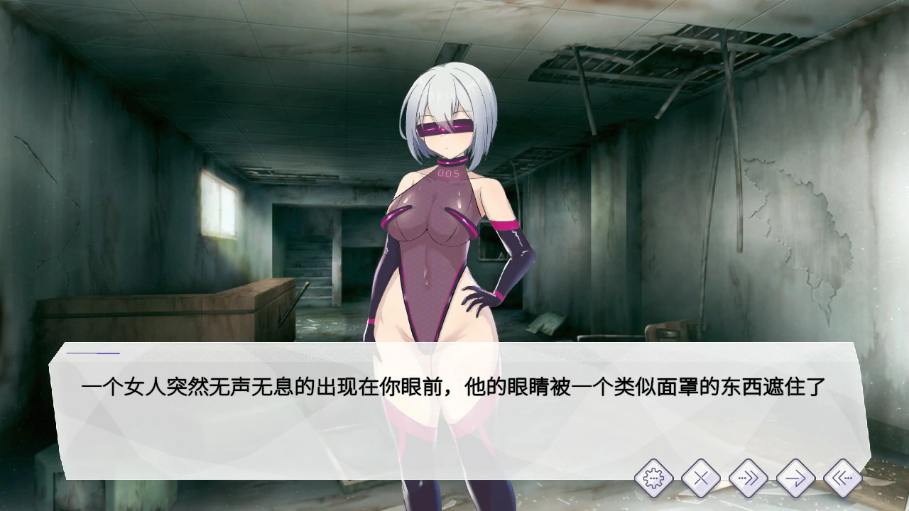 圣核战姫 DX 封面 2