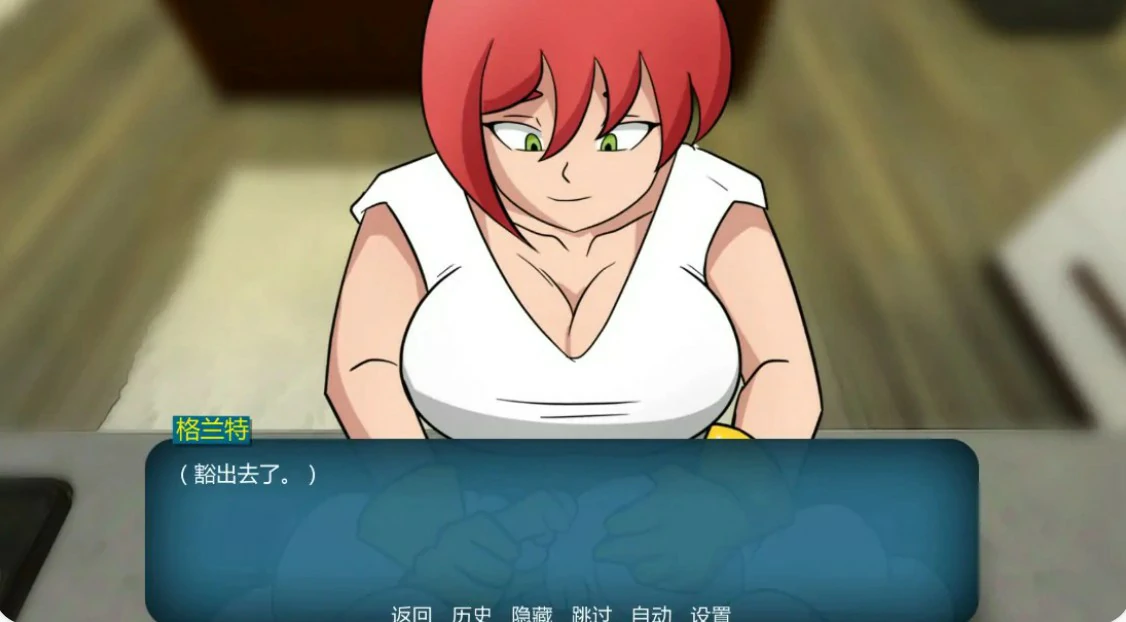 家族之谜 封面 2