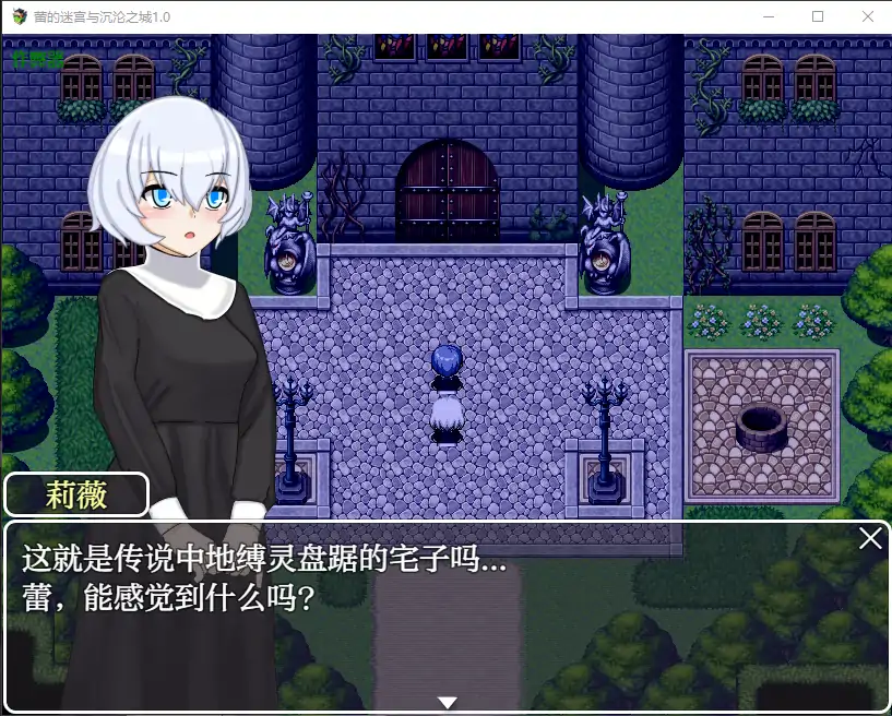 蕾的迷宫与沉沦之城 封面 2