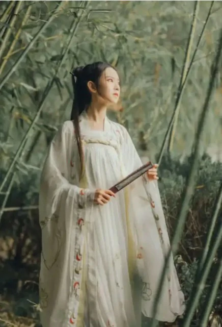  侠女逍遥录 封面 2