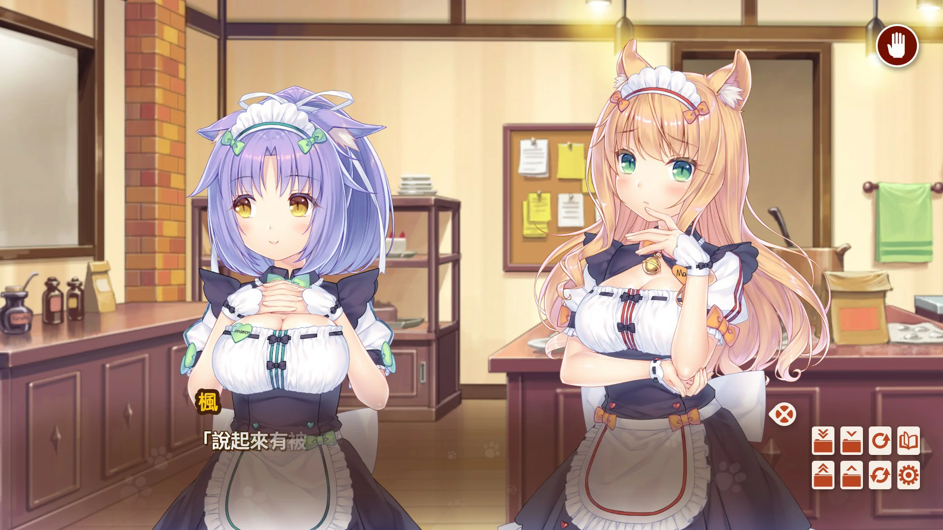 猫娘乐园 After
