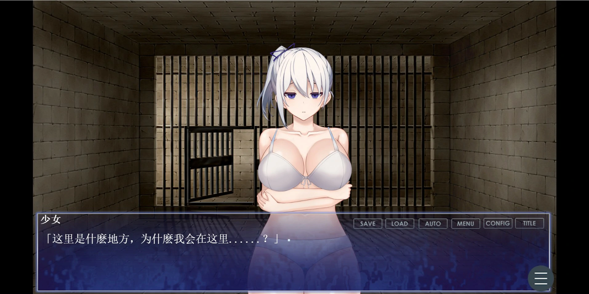 调教师与终将成为奴隶的少女 封面 2